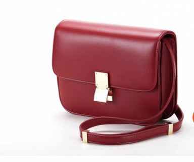 Mini Sac en Cuir Bandoulière - Fermeture Dorée