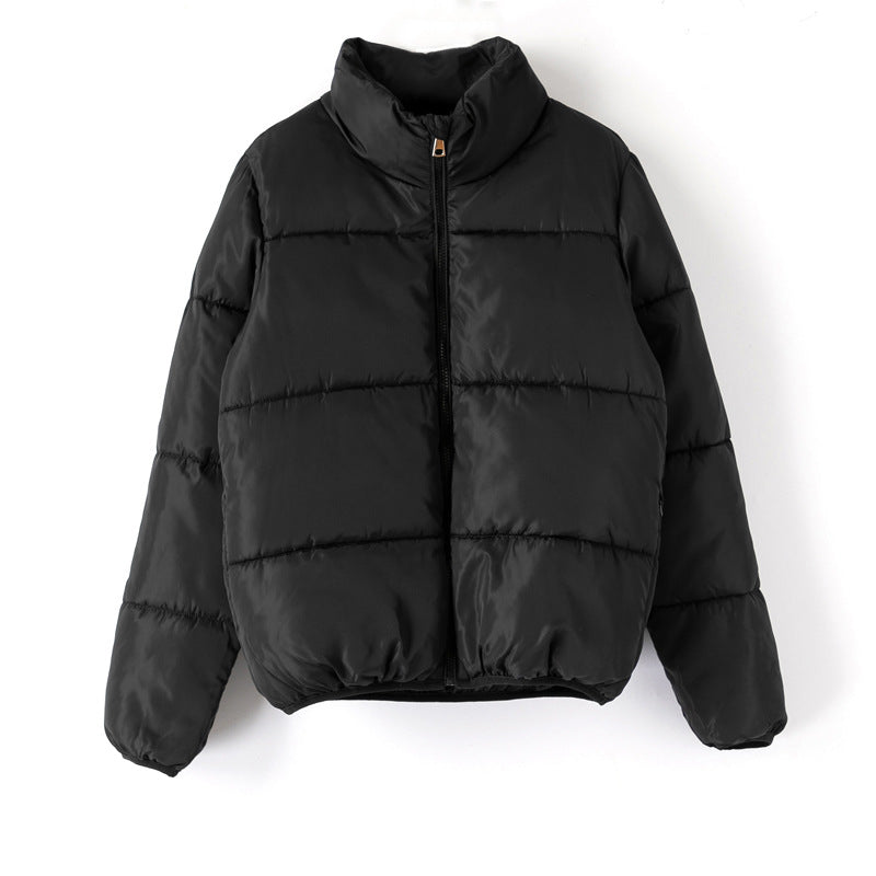 Doudoune Courte coton Puffer