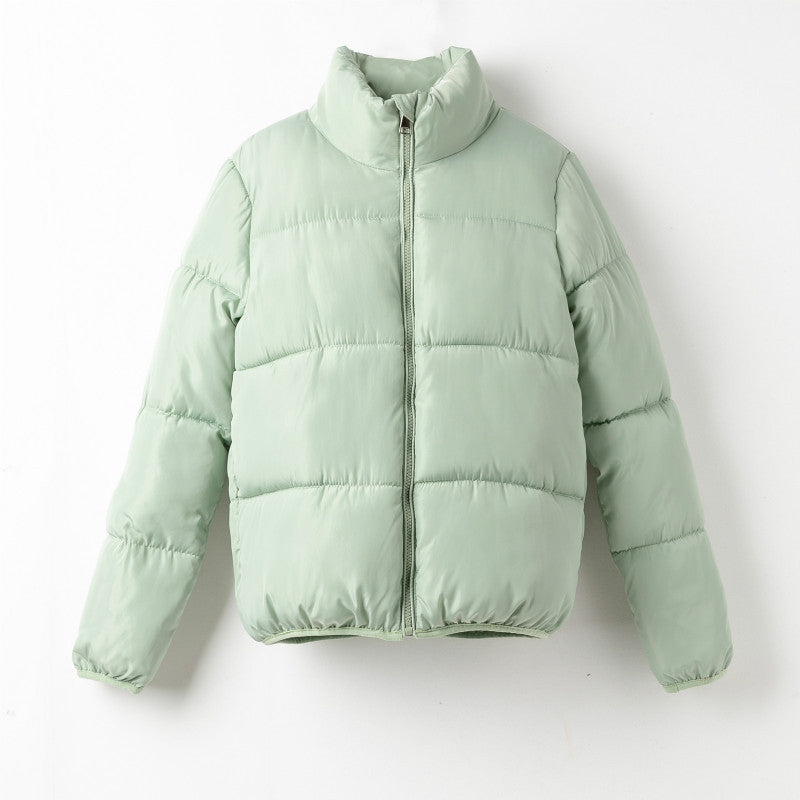 Doudoune Courte coton Puffer
