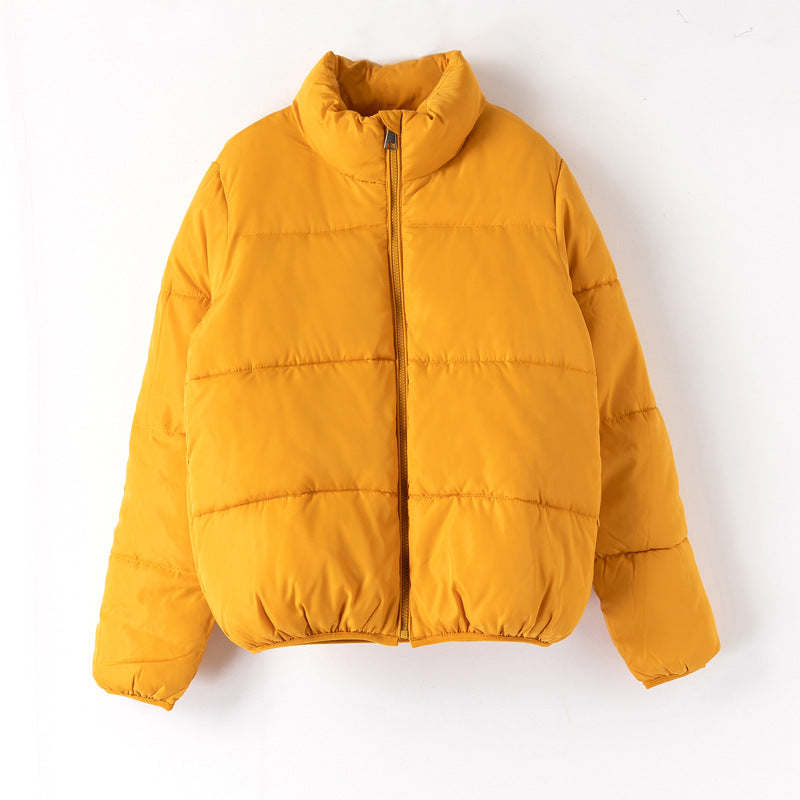Doudoune Courte coton Puffer