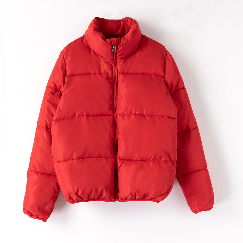 Doudoune Courte coton Puffer